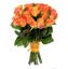 Picture of Strong orange long stemmed roses in the harsh icelandic climate.