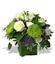 Picture of Modern and elegant  white-green flower arrangement in vase.