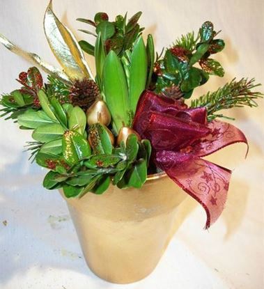 Picture of Hyacinth bulb flower arrangement íceramic vase.
