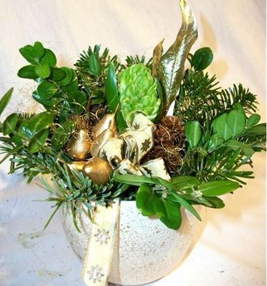 Picture of Hyacinth flower bulb arrangement in ceramic pots.