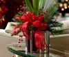 Picture of Christmas Amaryllis plant arrangement in ceramic vase in white or red color.