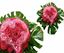 Picture of An amazing bouquet in the shape of heart- red and pink roses and more.