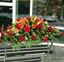 Picture of An elegant casket spray in 3 sizes with orange lilies, red roses, solidago and more.