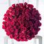 Picture of Delux breathtaking bouquet with 100 pcs. of icelandic premium red long stemmed roses.