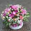 Picture of An elegant arrangement with mix flowers in round shaped hat box.