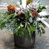 Picture of Tall Christmas candle arrangement in beautiful tall vase