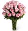 Picture of Beautiful pink icelandic roses grown in the harsh icelandic climate.