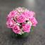 Picture of A breathtaking  rose arrangement in floral foam- roses, baby's breath, greenery-vase included