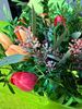 Picture of Bouquet of Tulips Single or Mixed Color with greenery to match